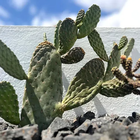 Villa Casa Lume Teguise (Lanzarote)
