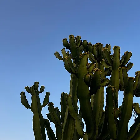 Casa Lume Villa Teguise