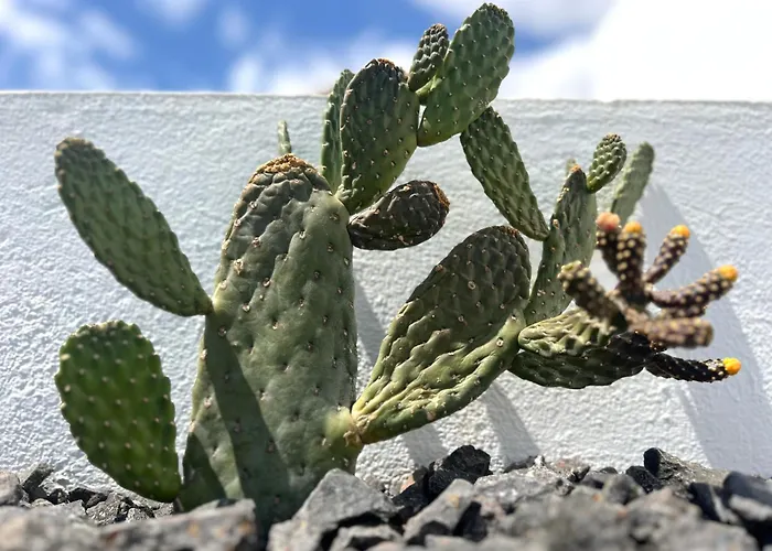 Villa Casa Lume Teguise