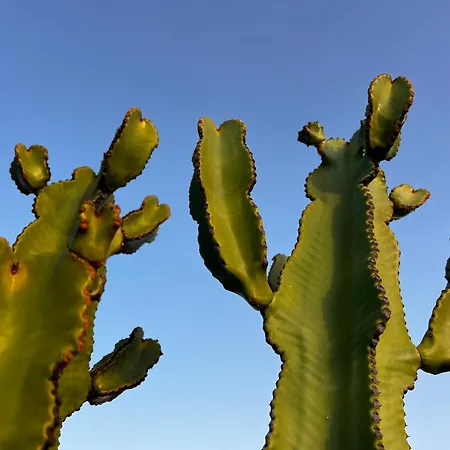 Casa Lume * Teguise (Lanzarote)