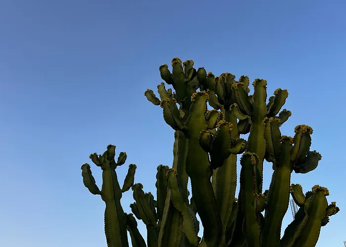Casa Lume Villa Teguise (Lanzarote)
