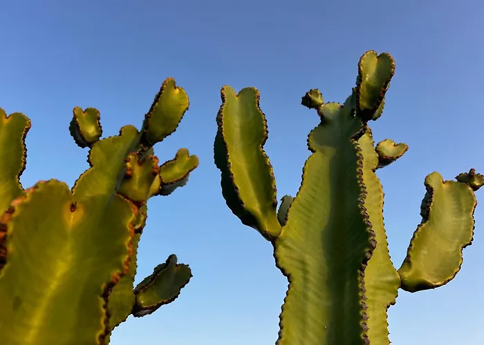 Casa Lume * Teguise (Lanzarote)